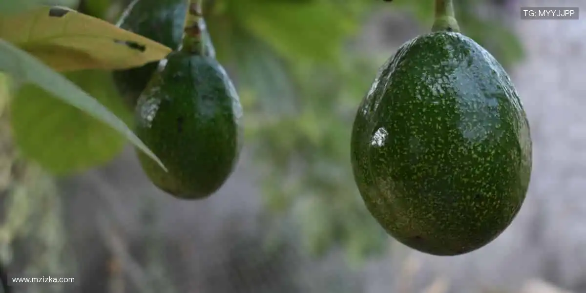 汗水与荣耀，见证奇迹！💦🌟 体育赛事，书写你的传奇！